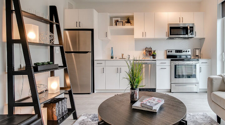 the apartment kitchen from the living room